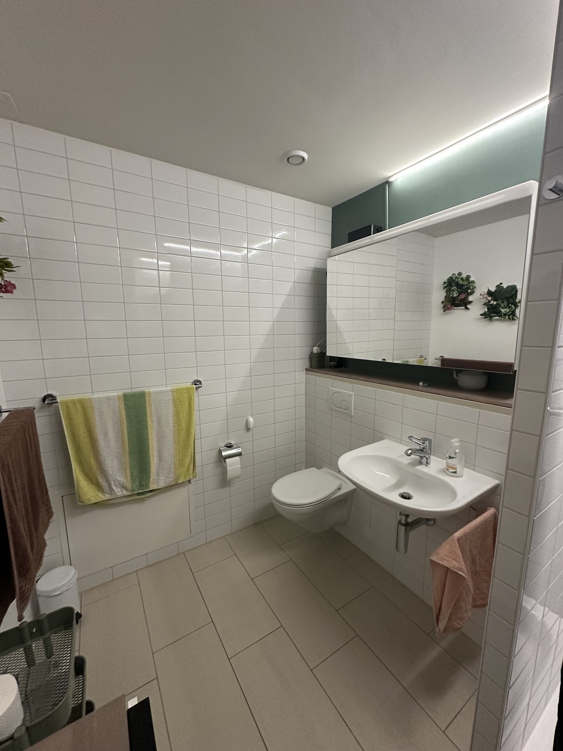 Room in a shared flat