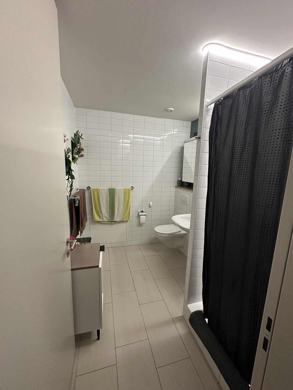 Room in a shared flat