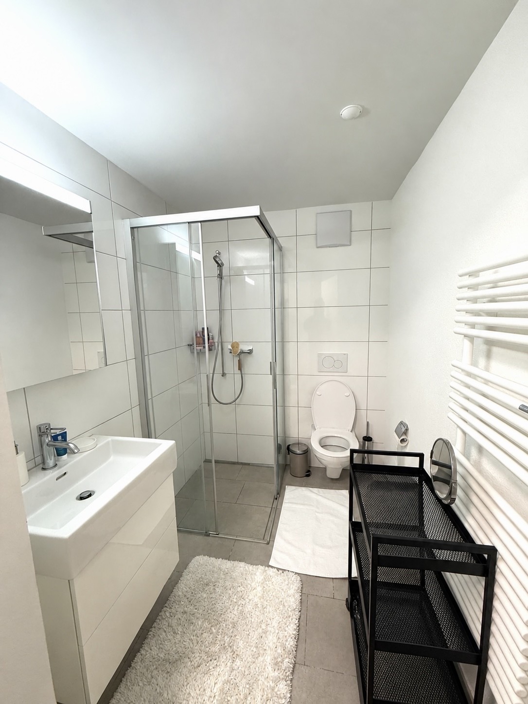 2 ½ Zimmer Wohnung