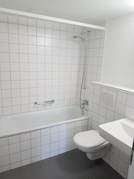 Appartement 1 pièce