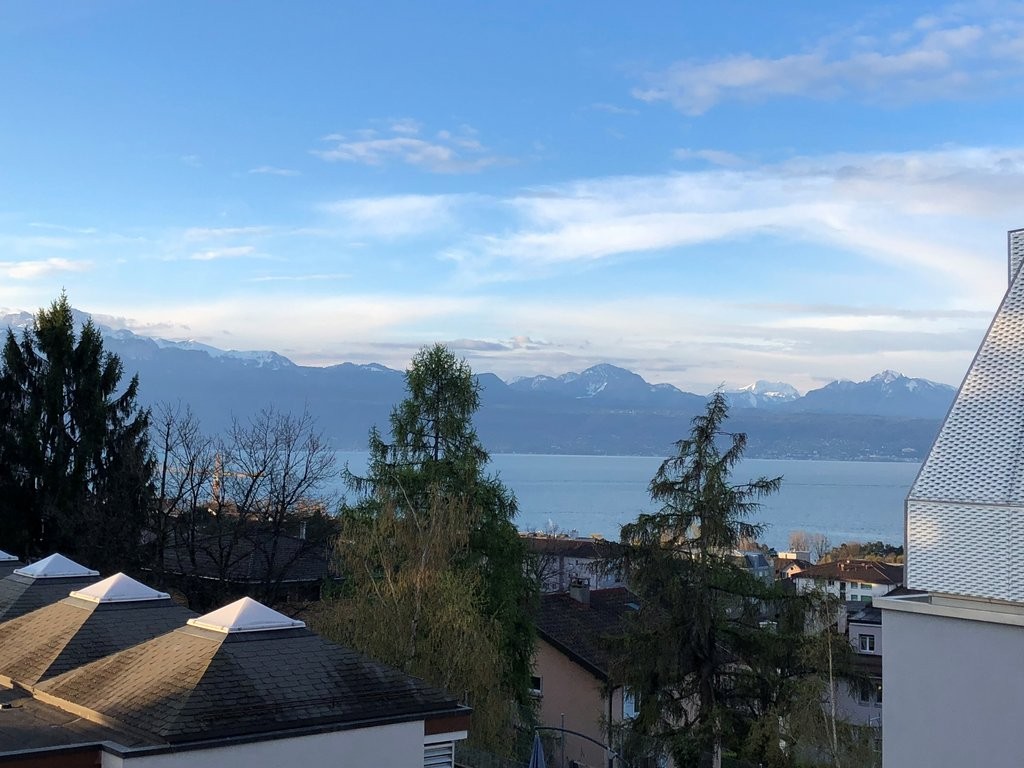 2 ½ Zimmer Wohnung