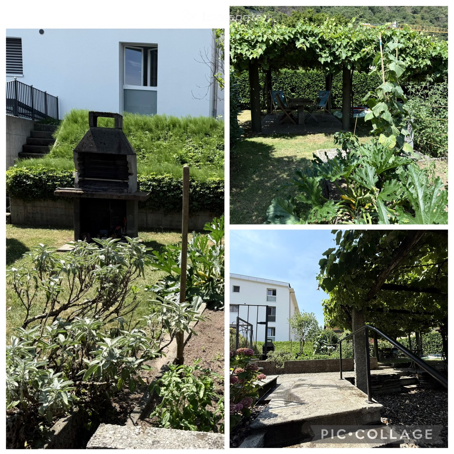 3 Zimmer Wohnung, Foto 3 von 4
