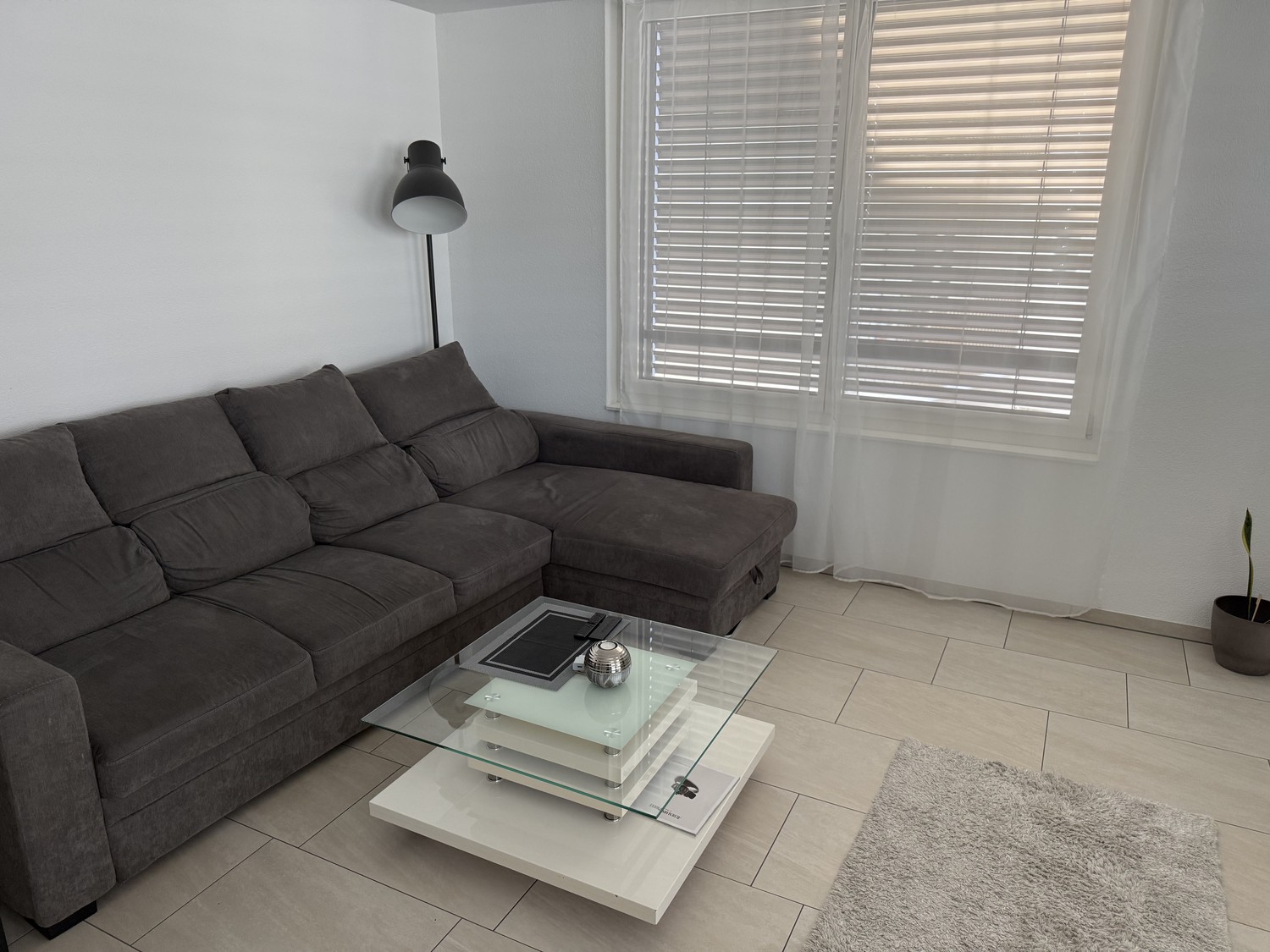 Room in a shared flat