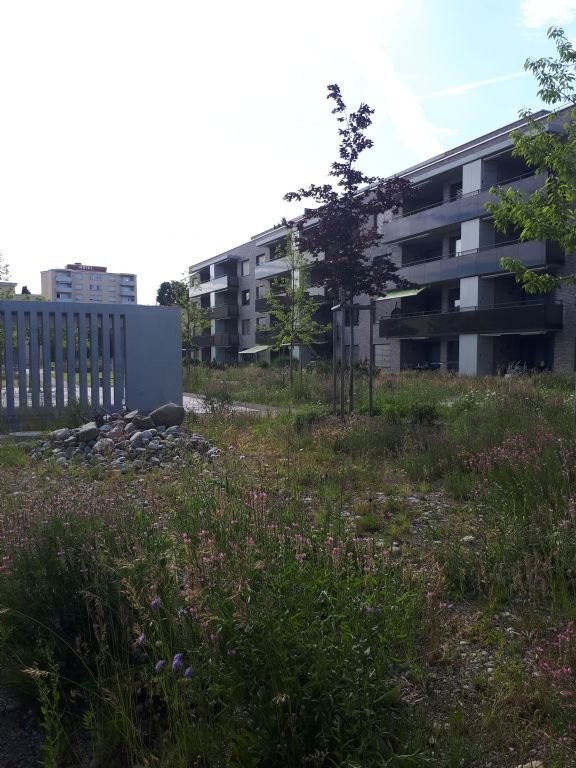 4 ½ pièces appartement