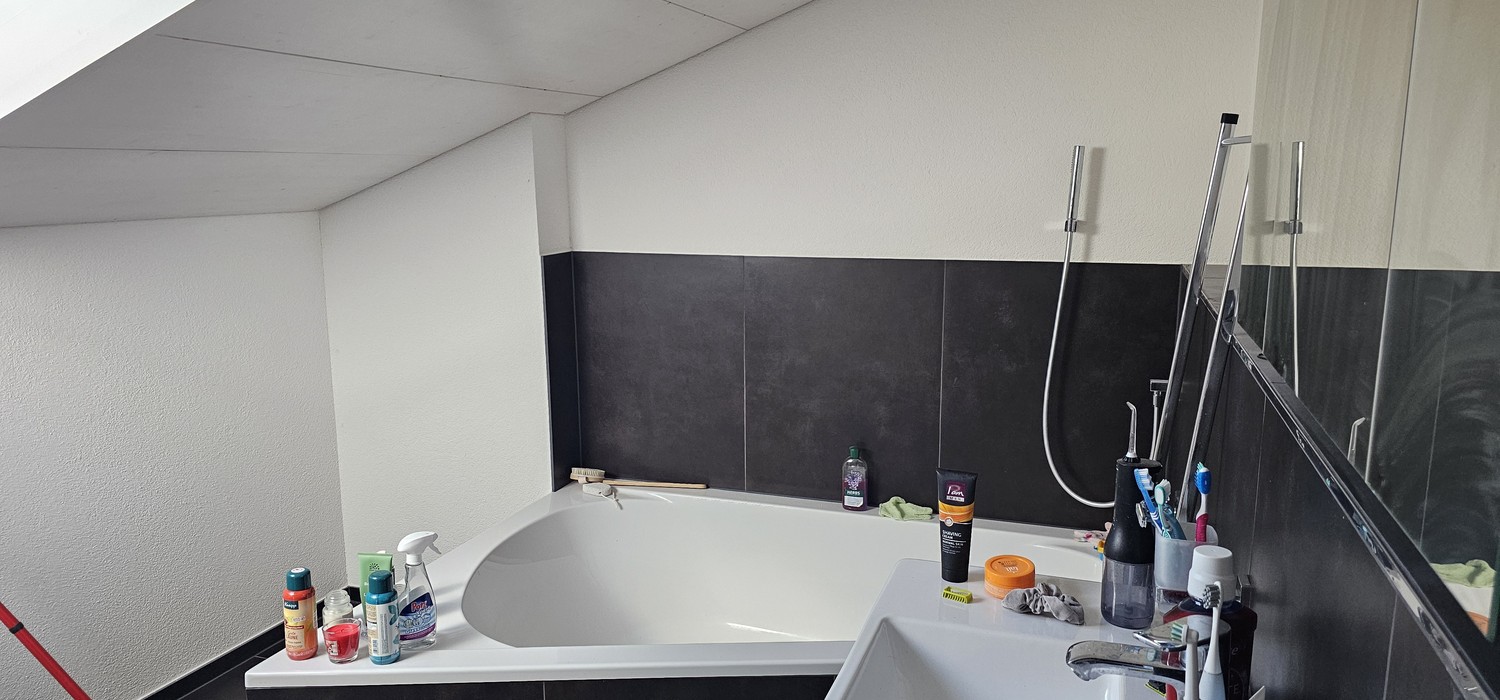 Appartement de 3 ½ pièces