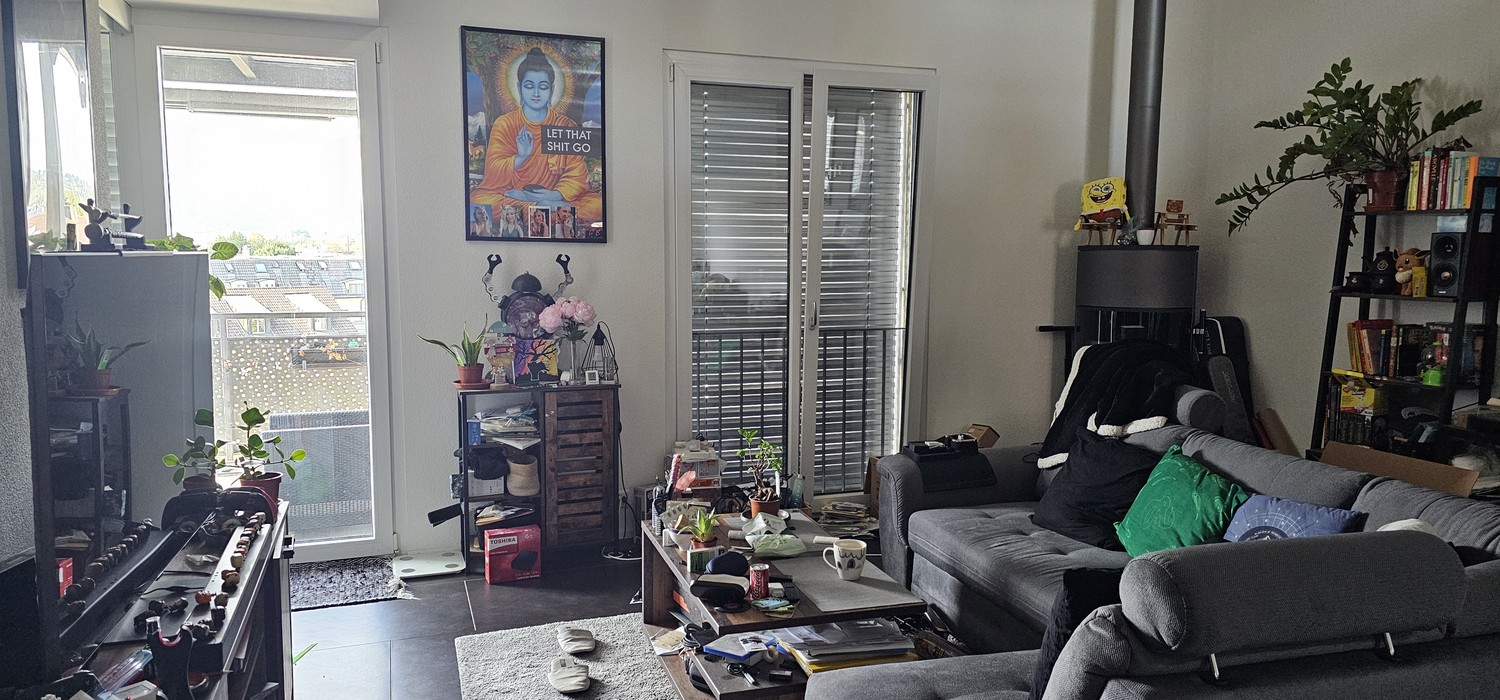 Appartement de 3 ½ pièces