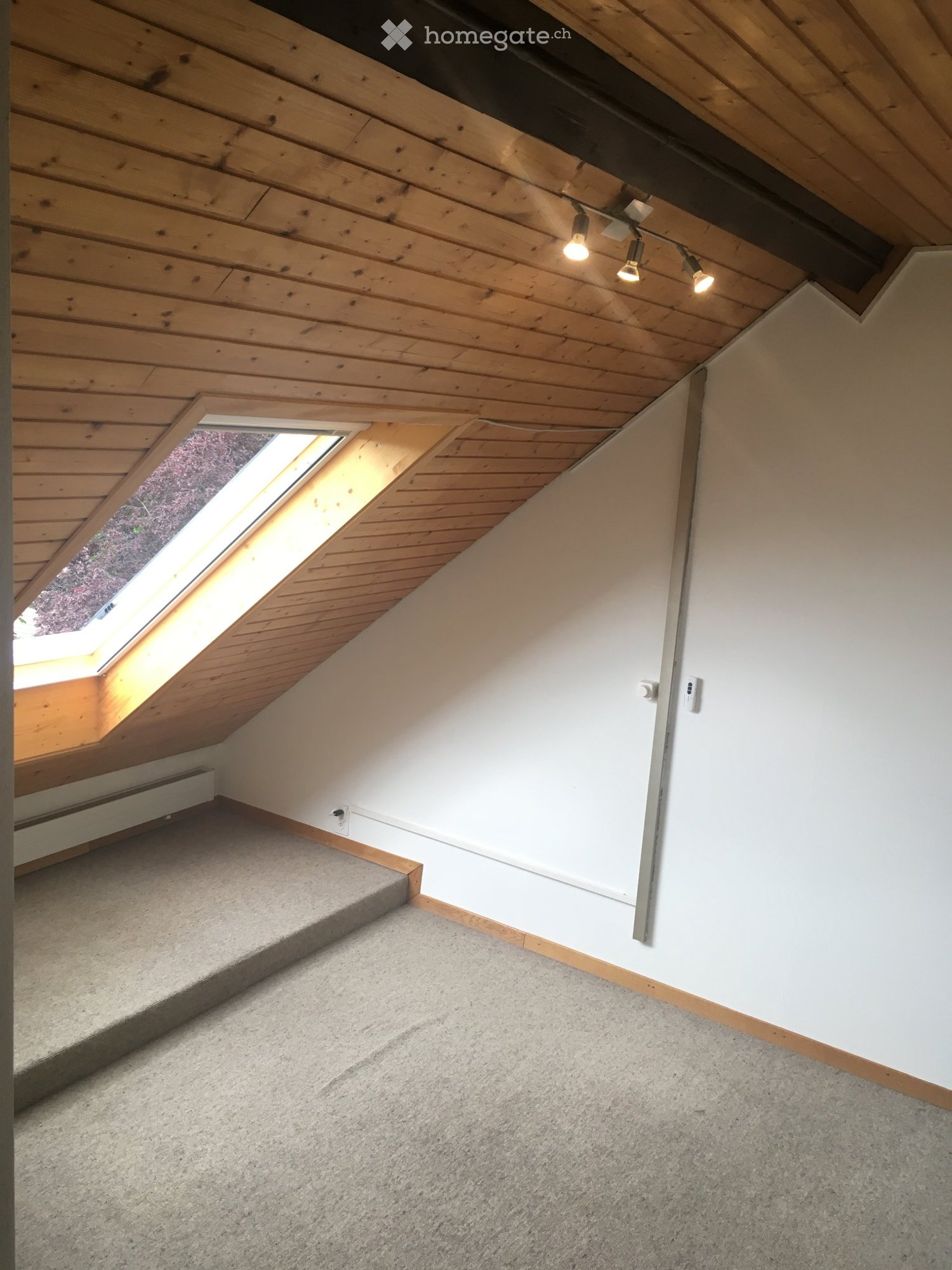 1 room single room