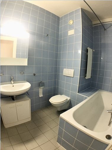 Appartamento di 2 ½ locali