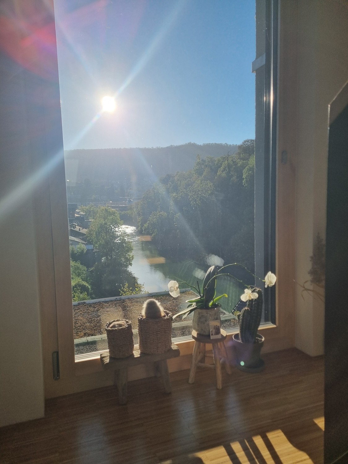 Zimmer in einer WG, Foto 7 von 10