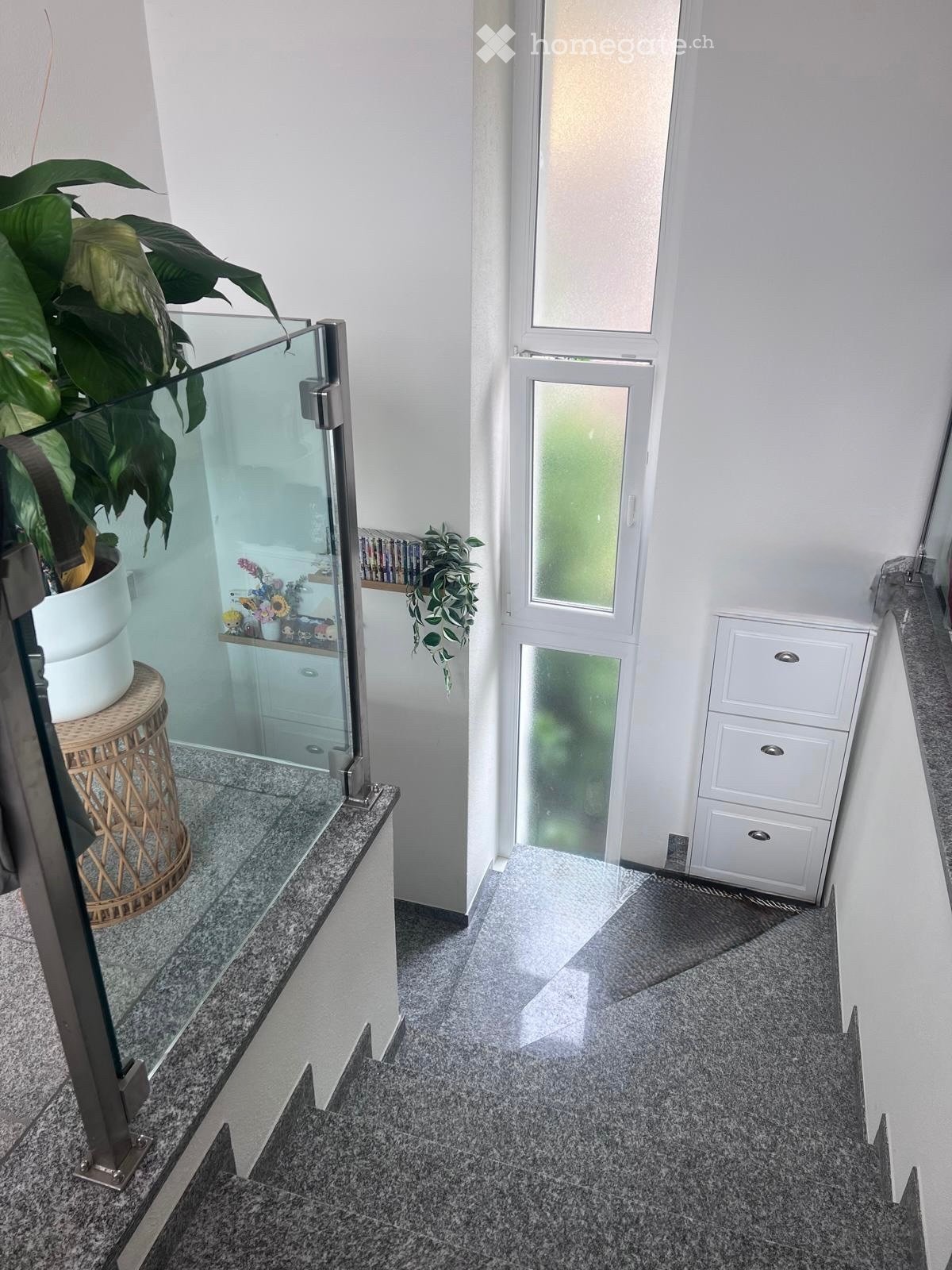 2 ½ rooms apartment, photo 5 sur 5