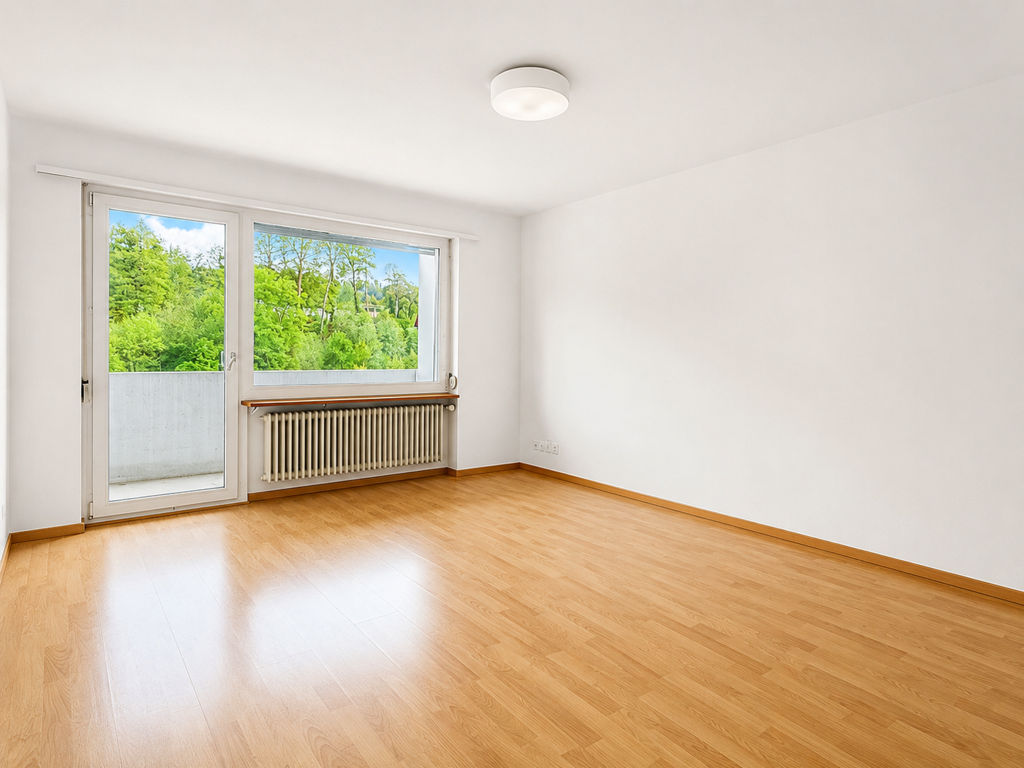 4 ½ rooms apartment