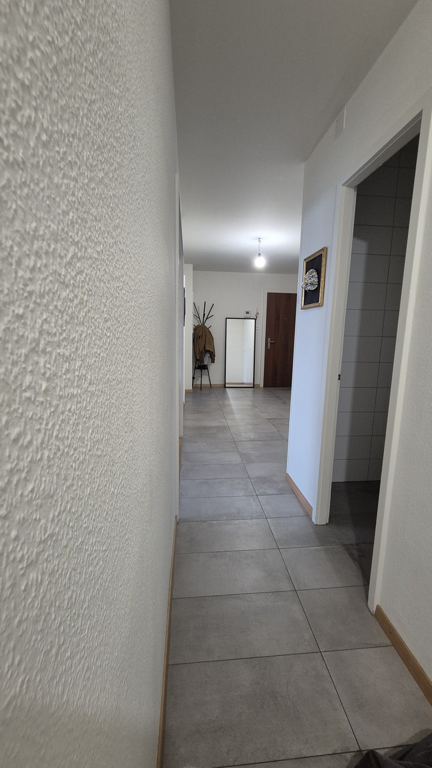 3 ½ Zimmer Wohnung
