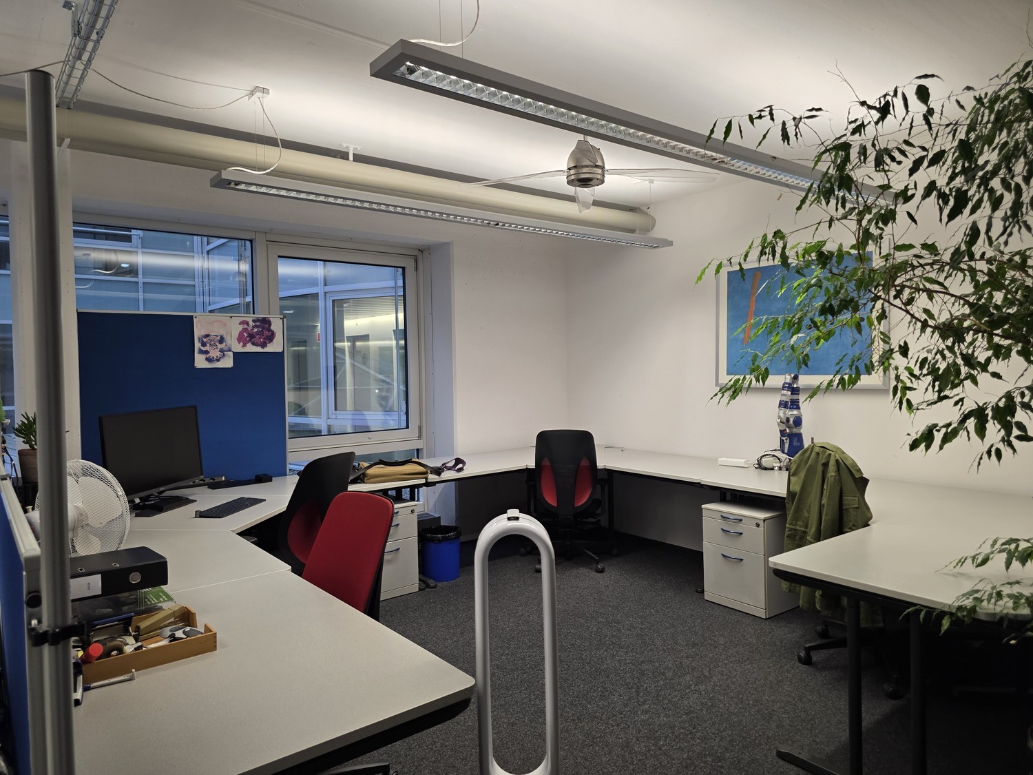 146m² commercial, Foto 5 von 10