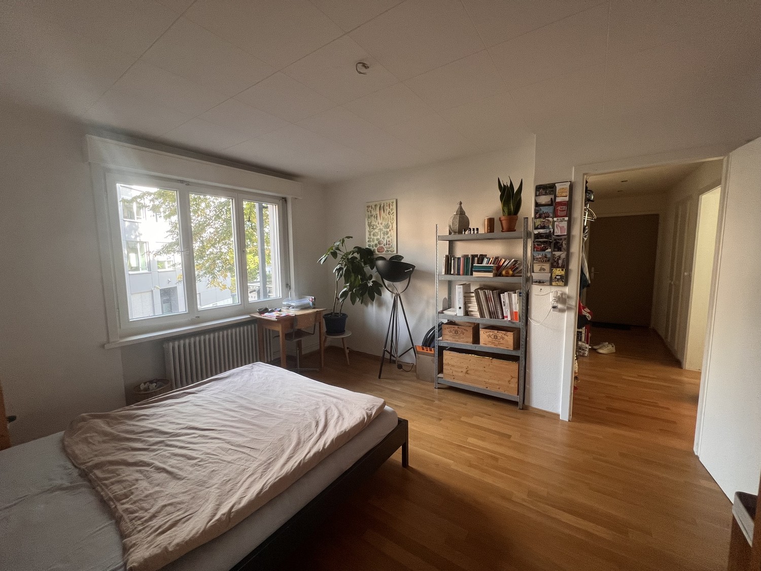 Room in a shared flat
