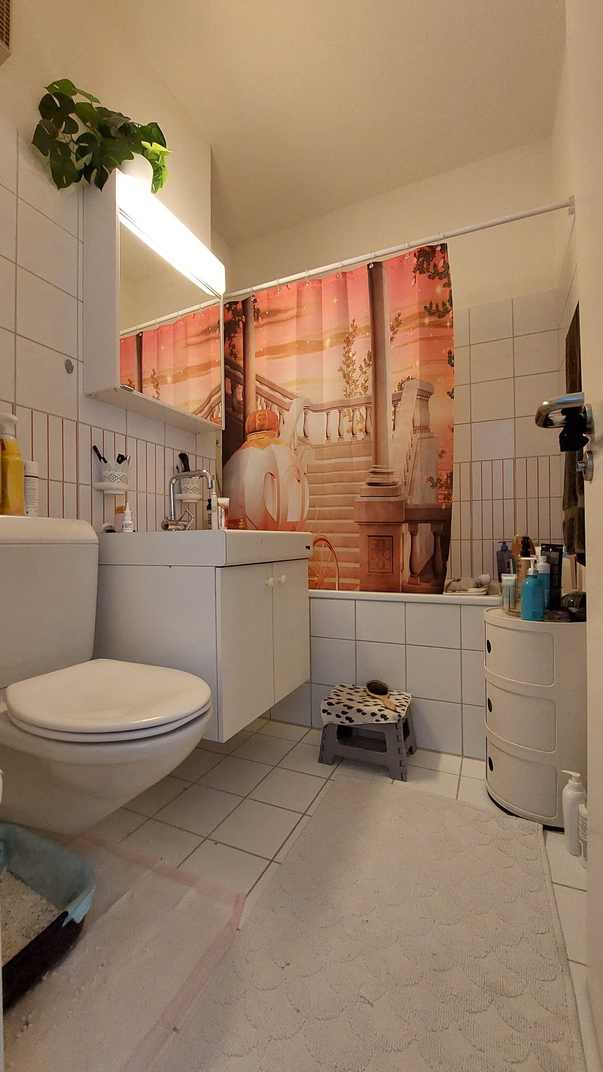 2 ½ Zimmer-Wohnung, Foto 4 von 5