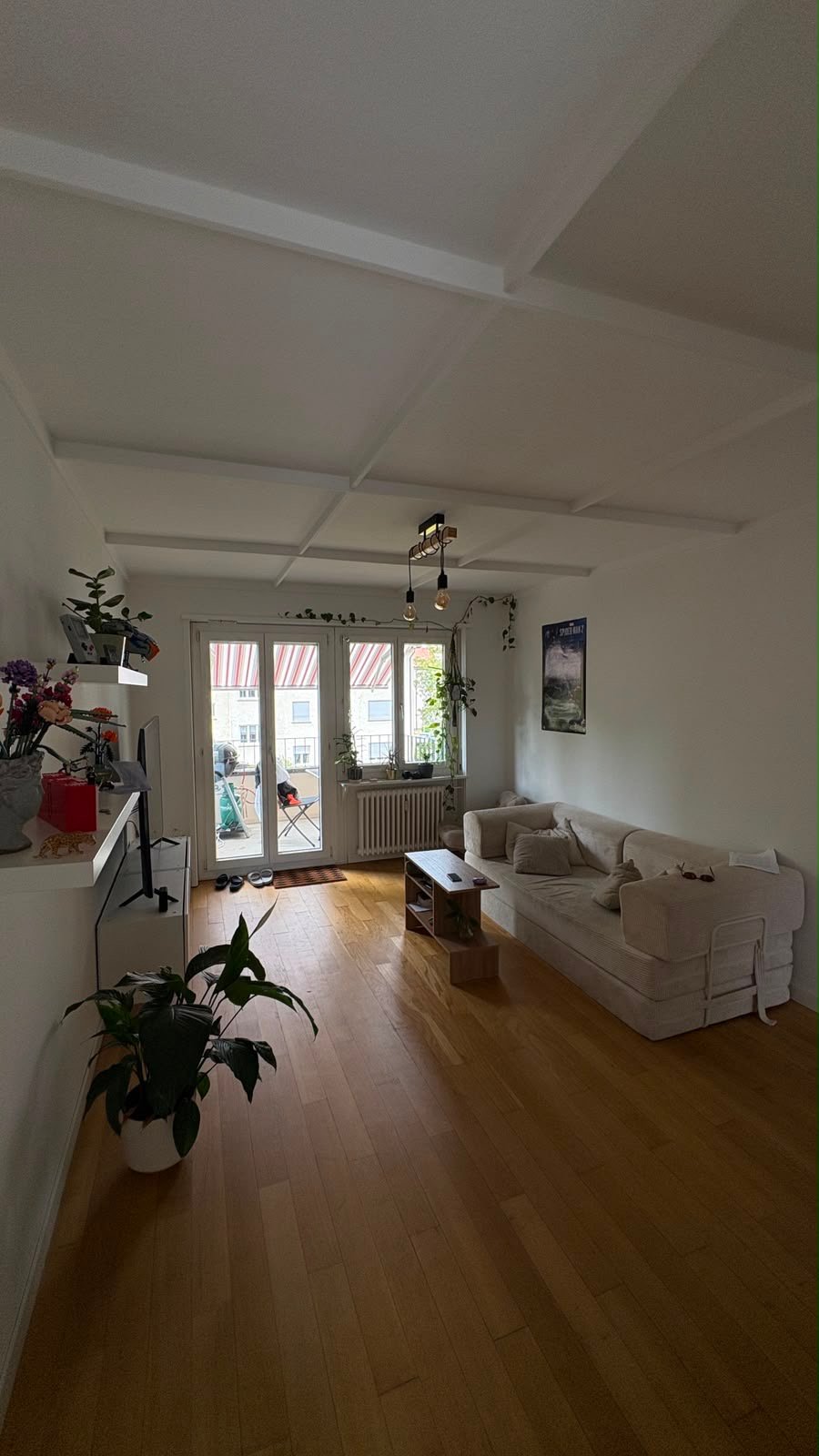Room in a shared flat