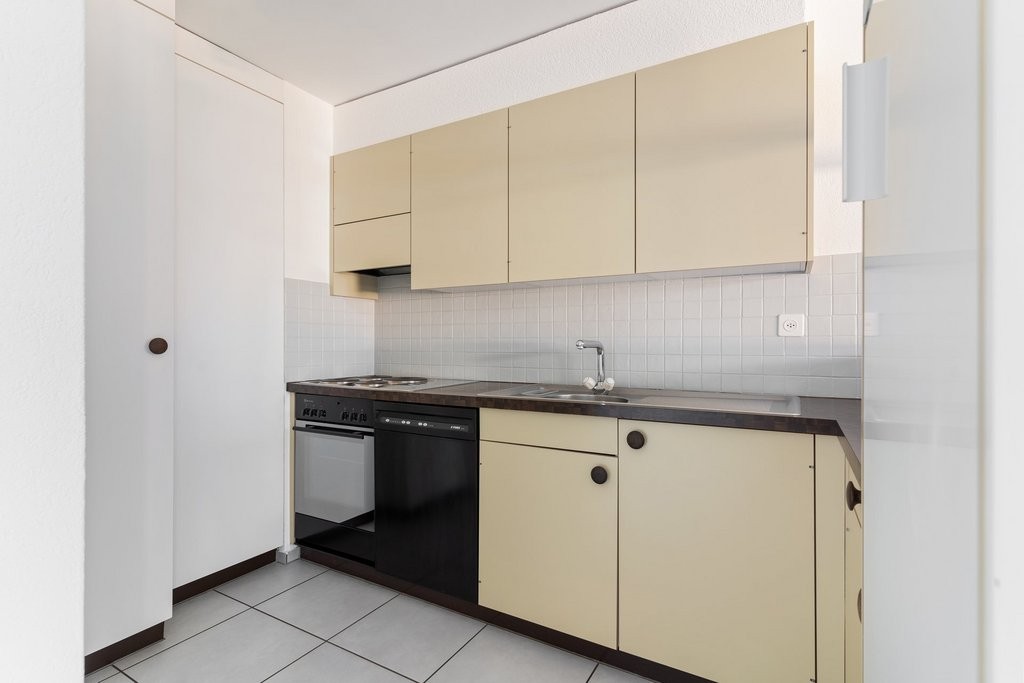 4 ½ rooms apartment (3)