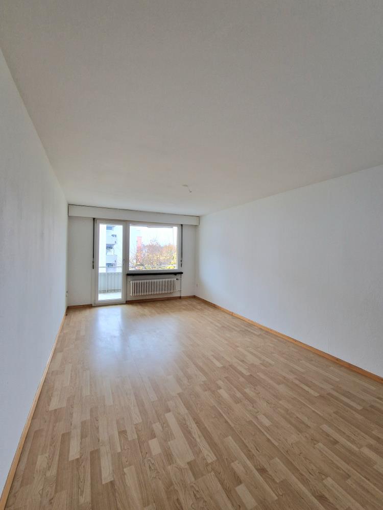 3 ½ rooms apartment (3)