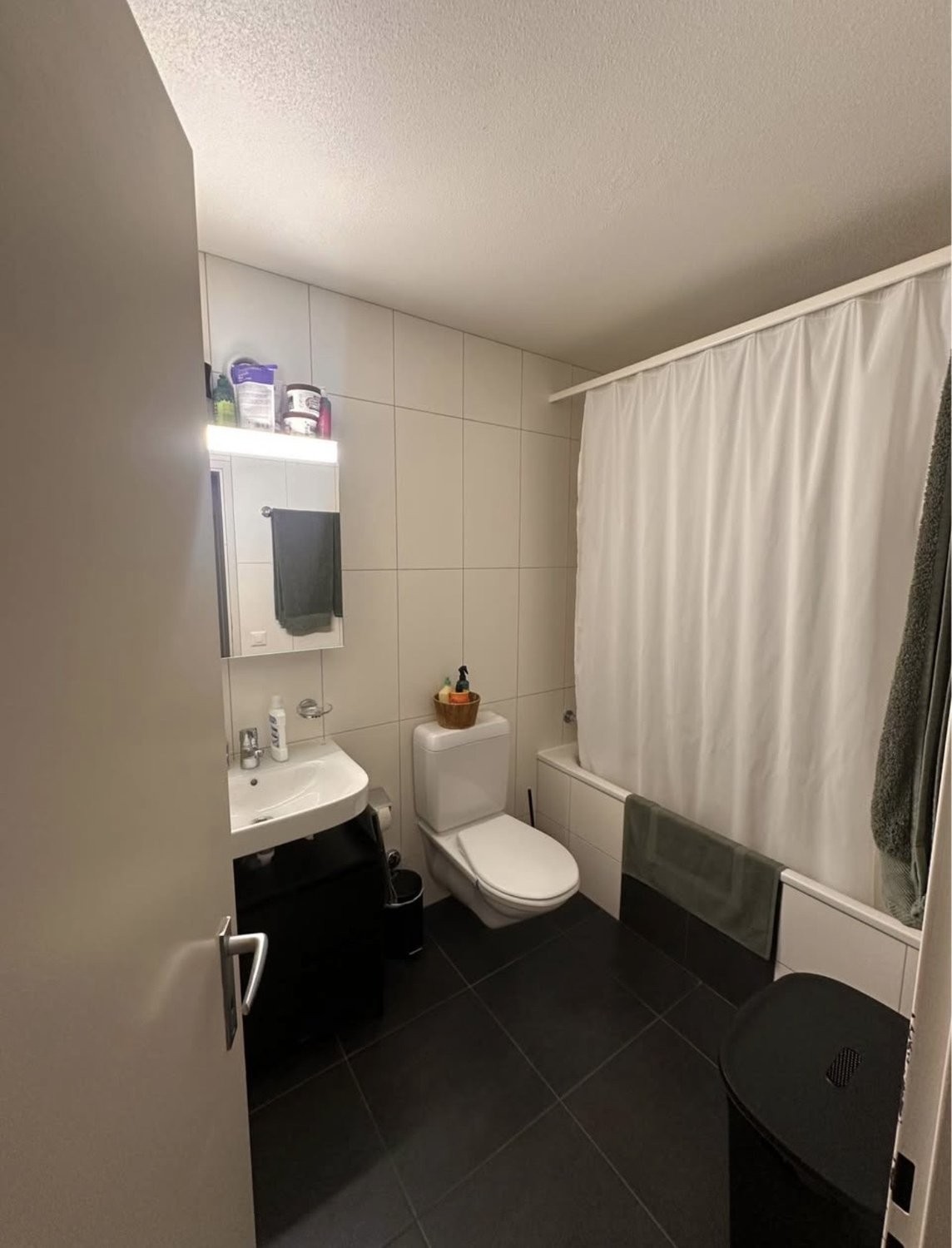 Möblierte 2 ½ Zimmer Wohnung