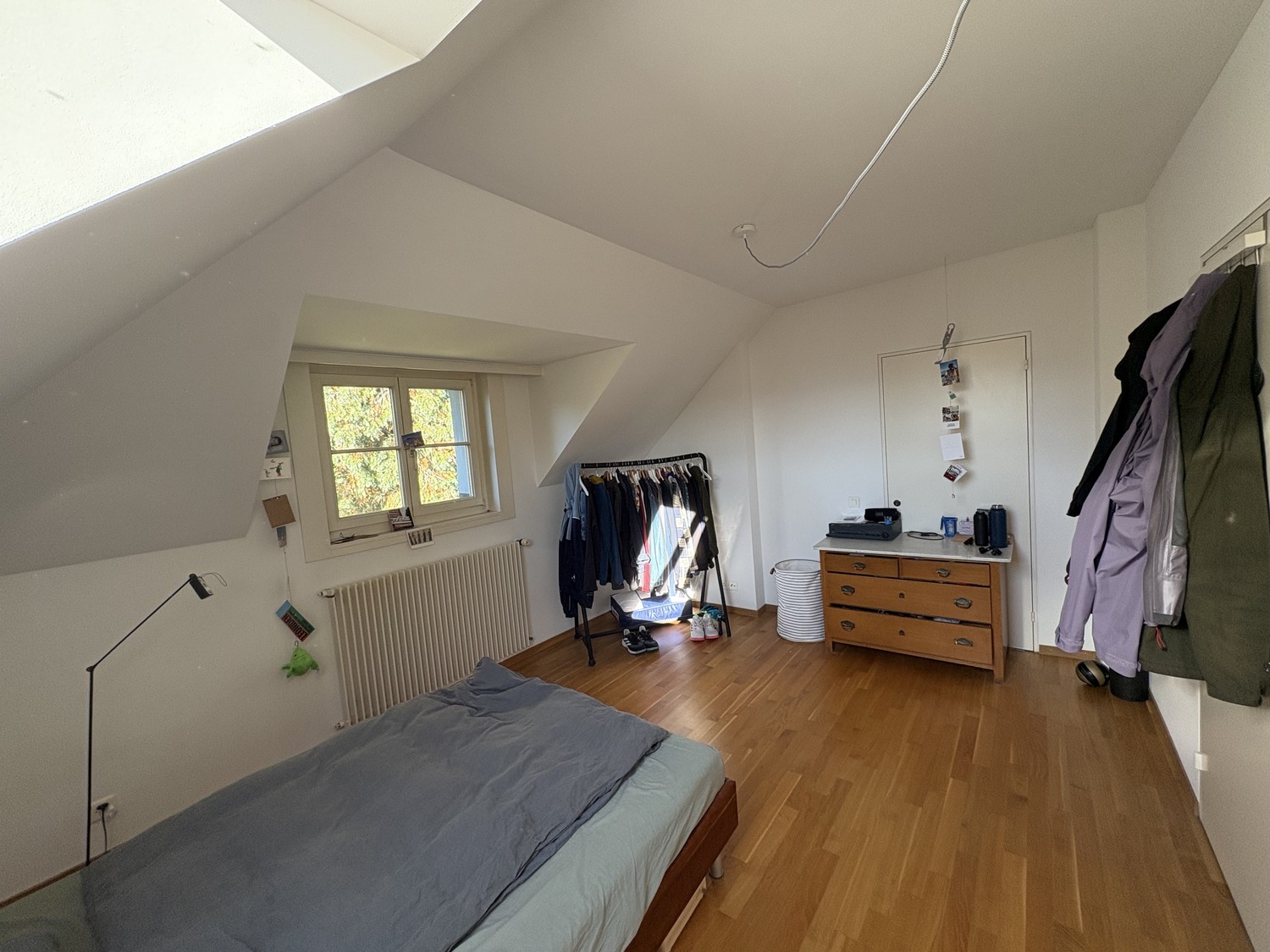 Room in a shared flat