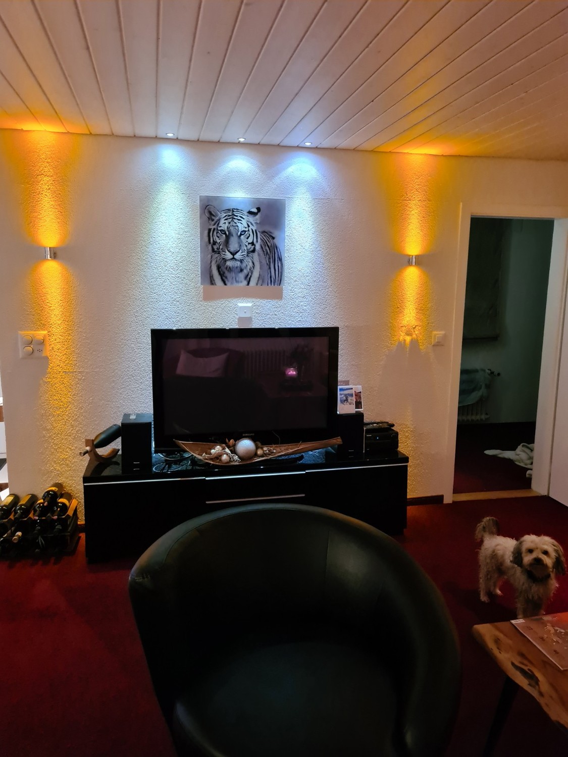 5 ½ rooms single house