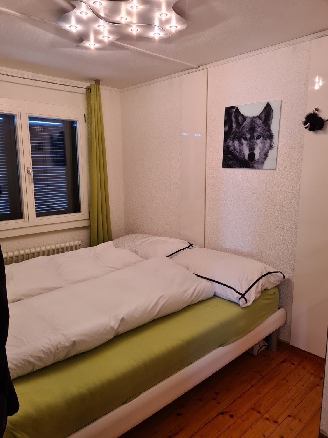 5 ½ rooms single house