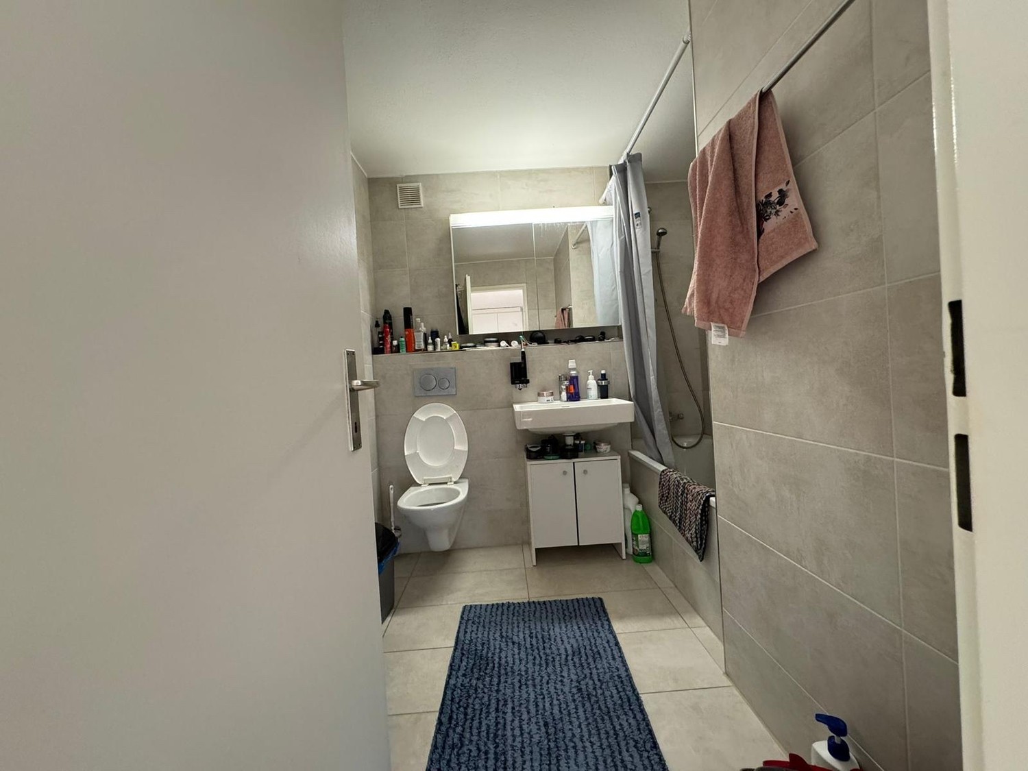 2 ½ rooms apartment