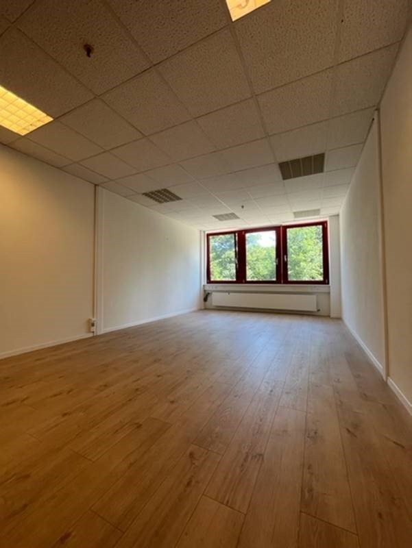 246m² office, Foto 4 von 10