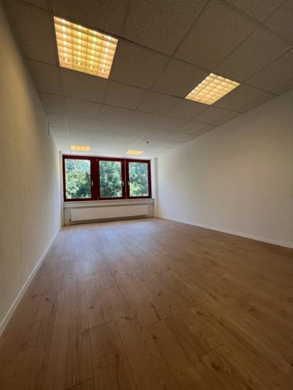 246m² office, Foto 3 von 10