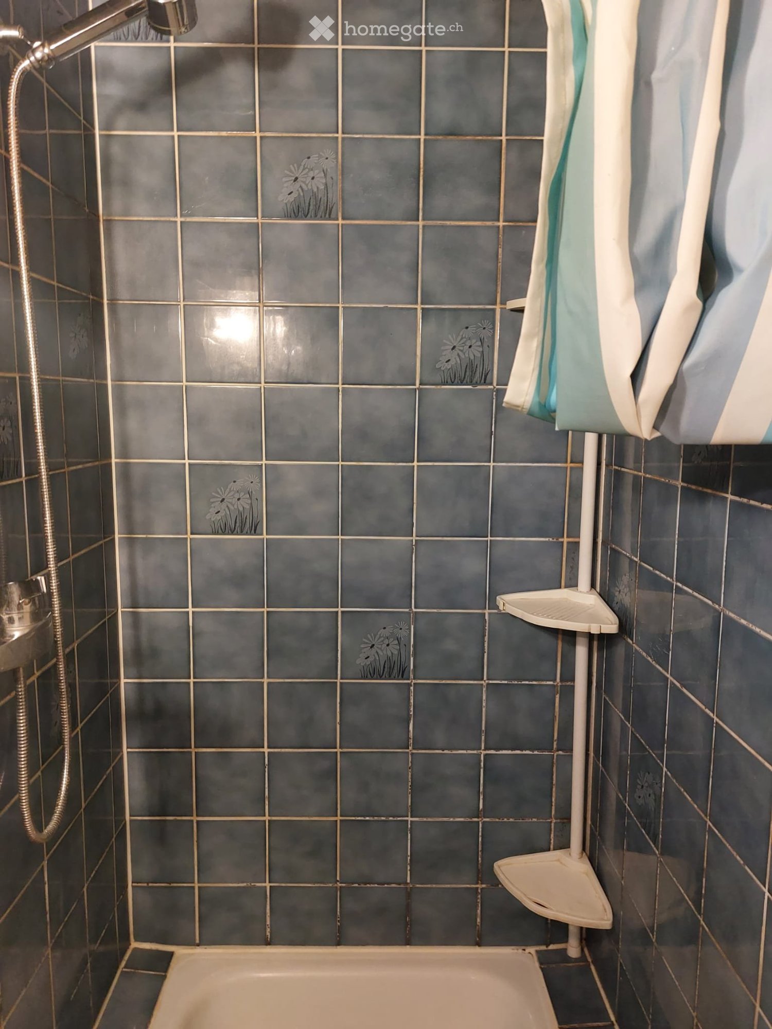 1 Zimmer Einzelzimmer