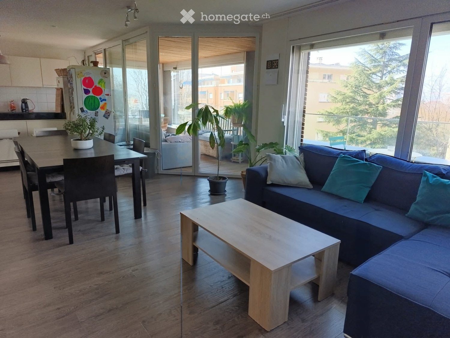 1 room single room