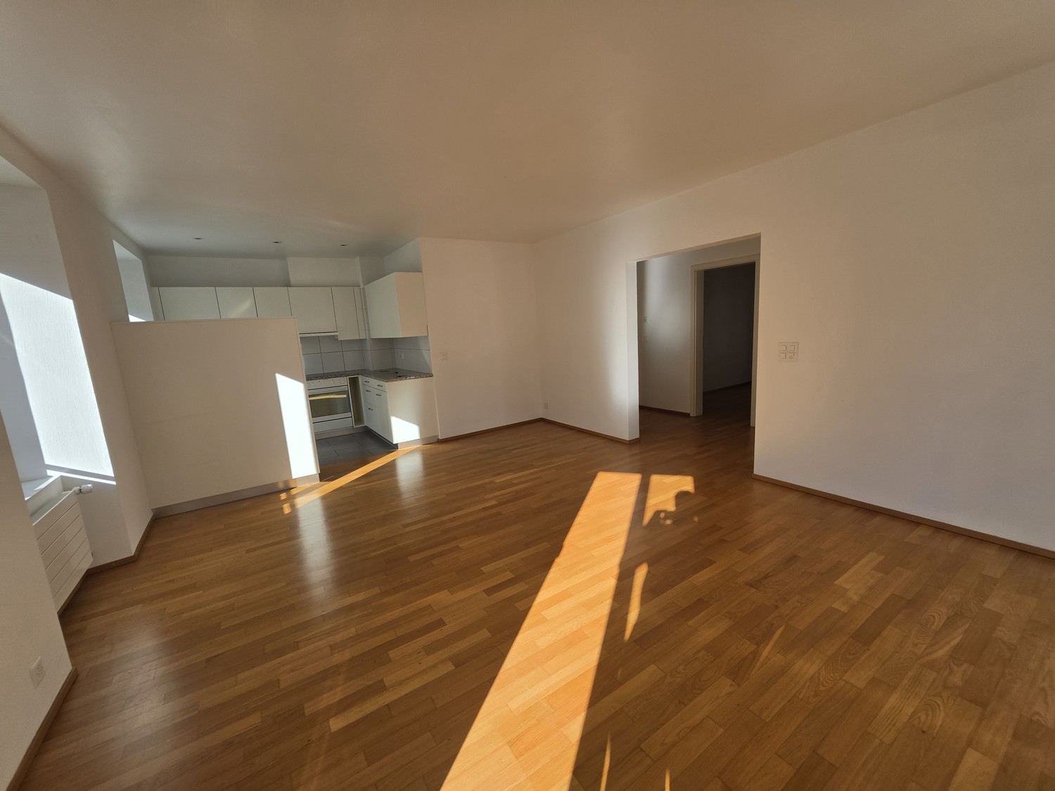 Appartement de 3 ½ pièces