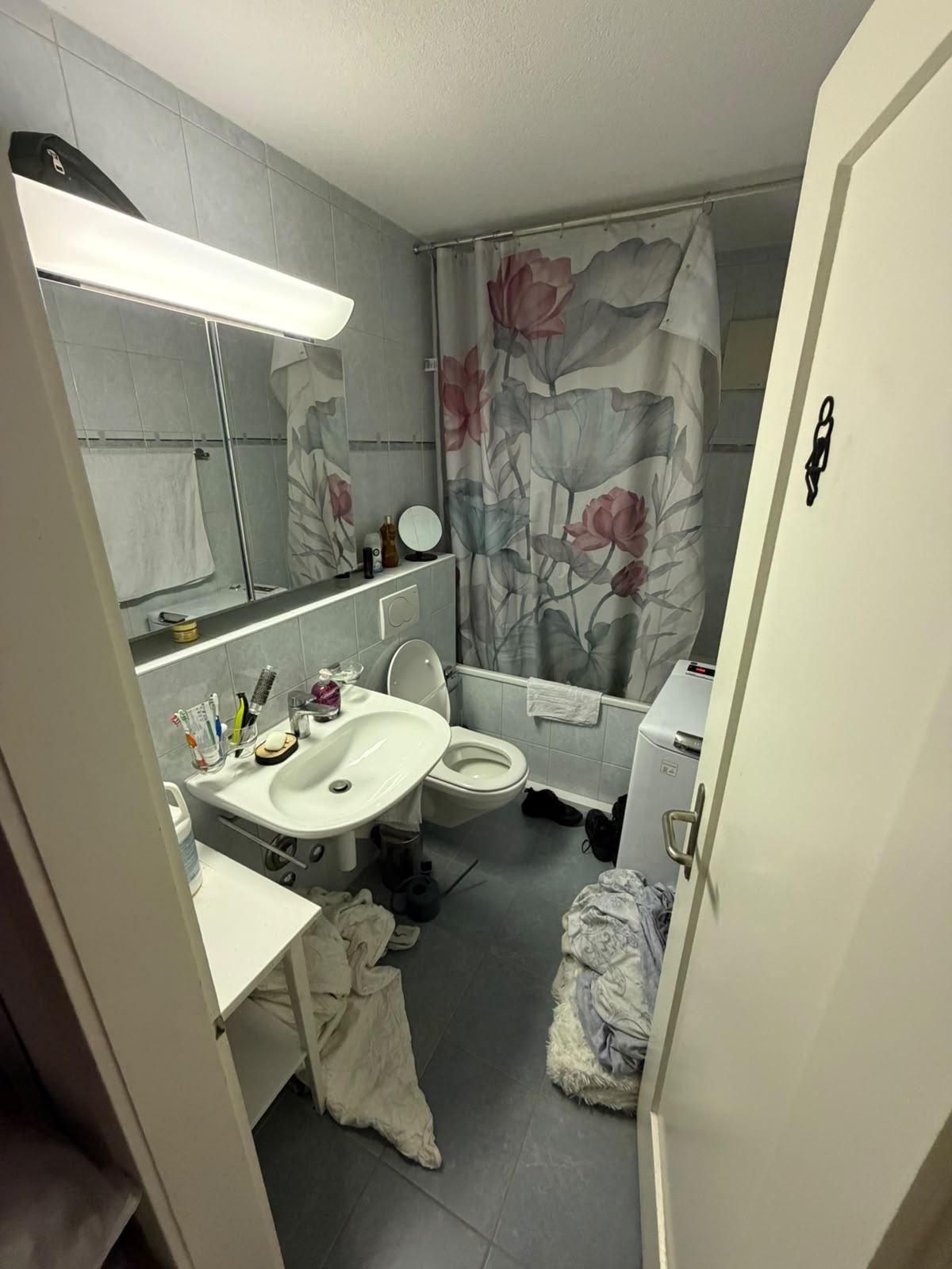 2 ½ rooms apartment