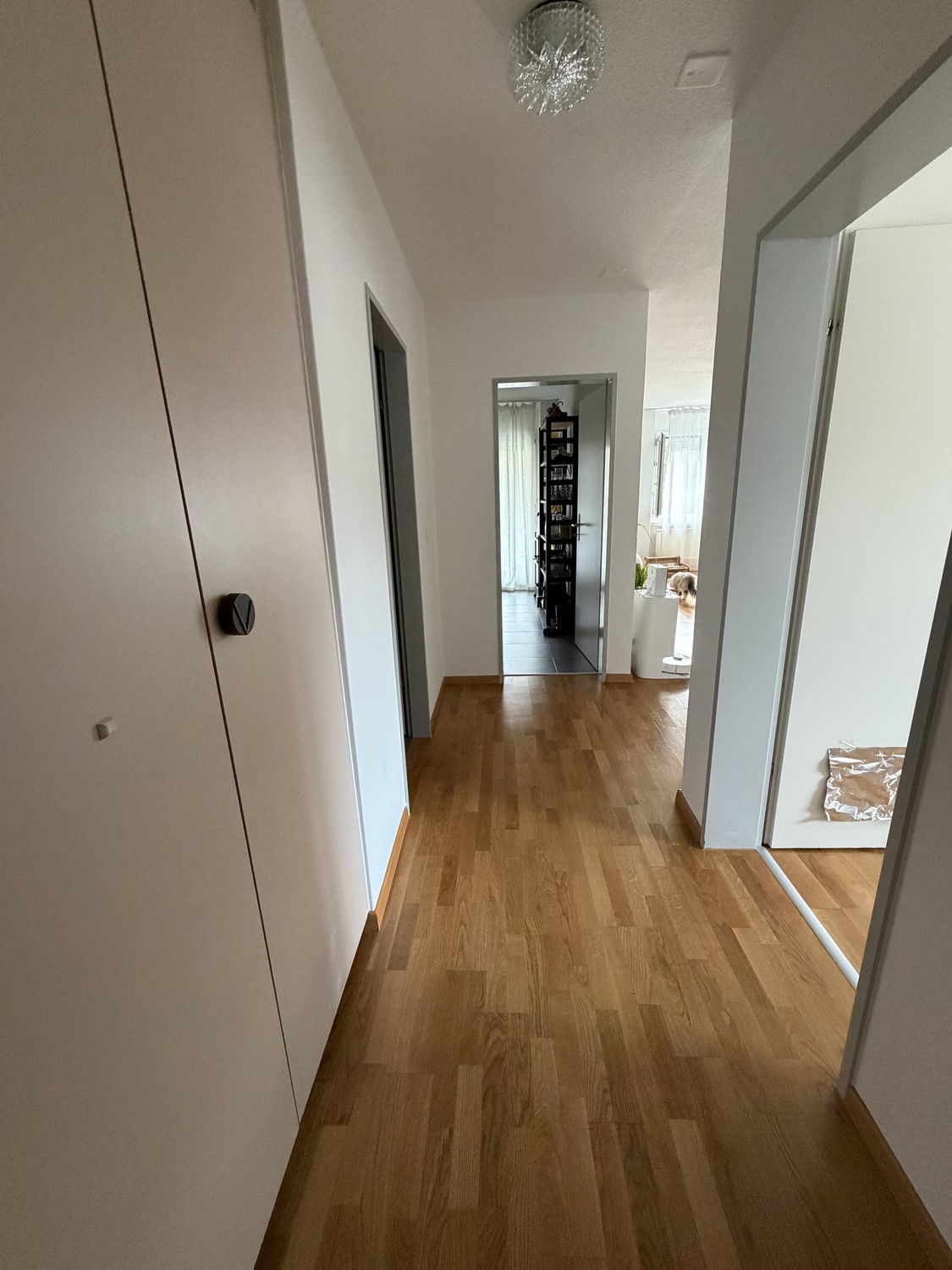 2 rooms apartment, Foto 5 von 5