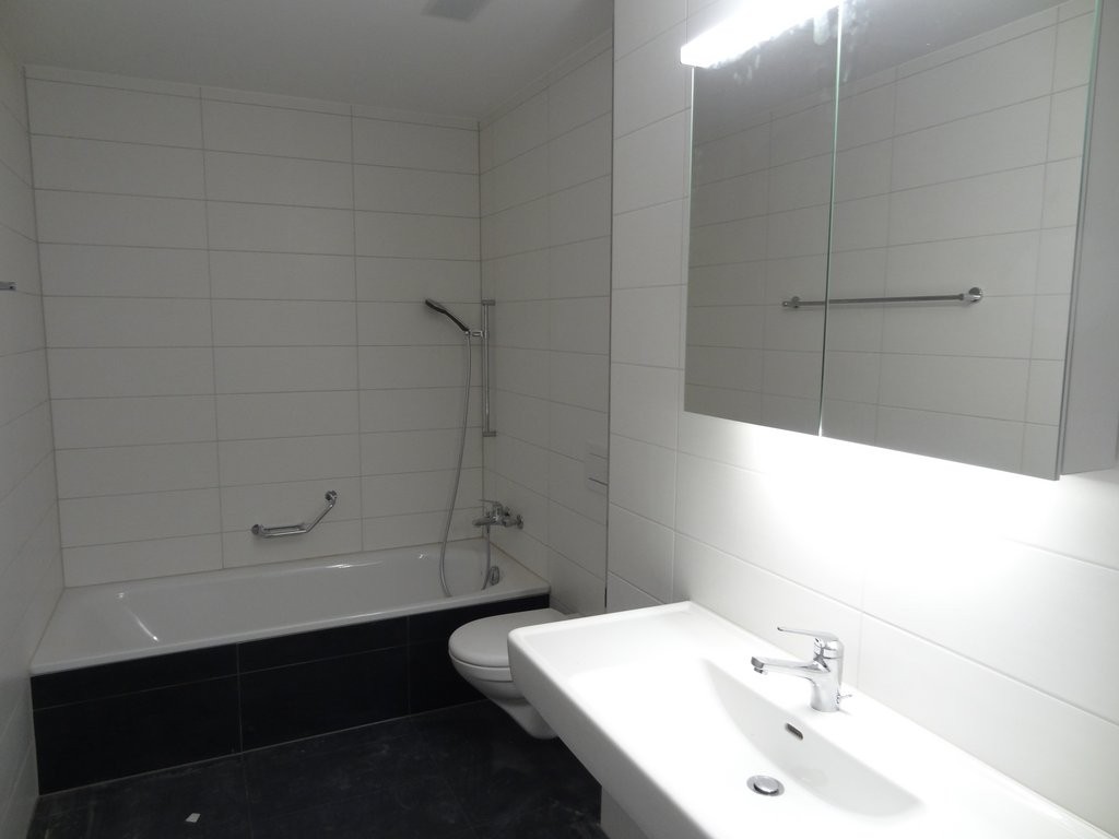 Appartement de 3 ½ pièces