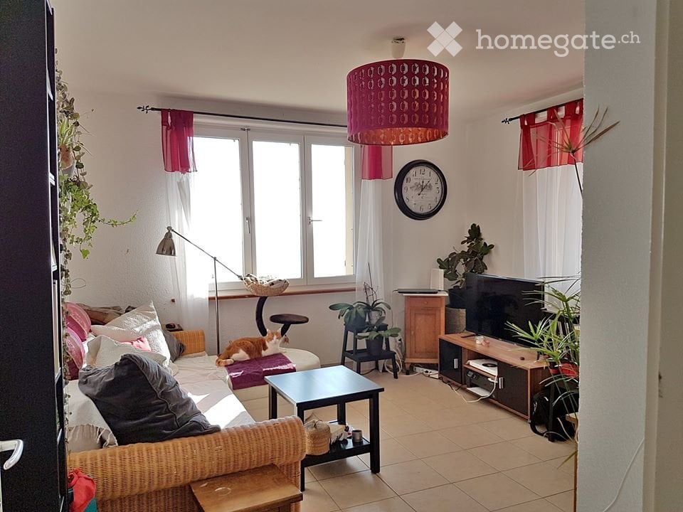 Appartamento di 2 ½ locali