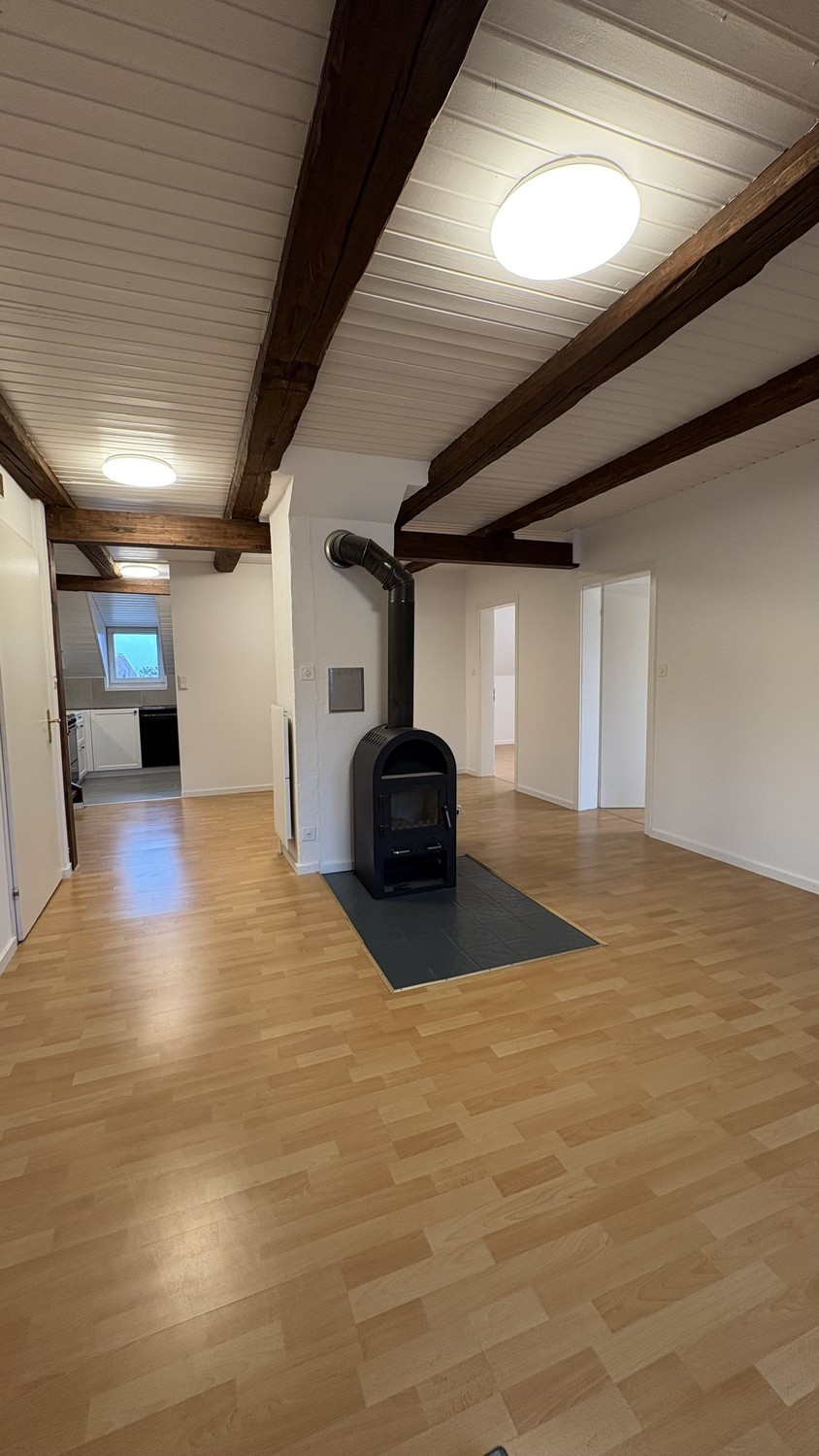 4 ½ rooms apartment