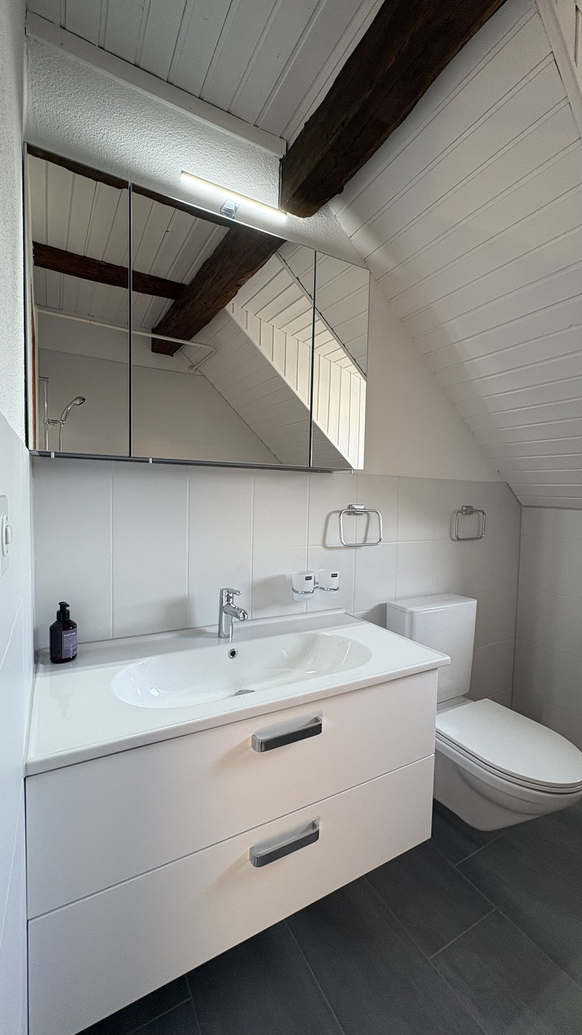 4 ½ rooms apartment
