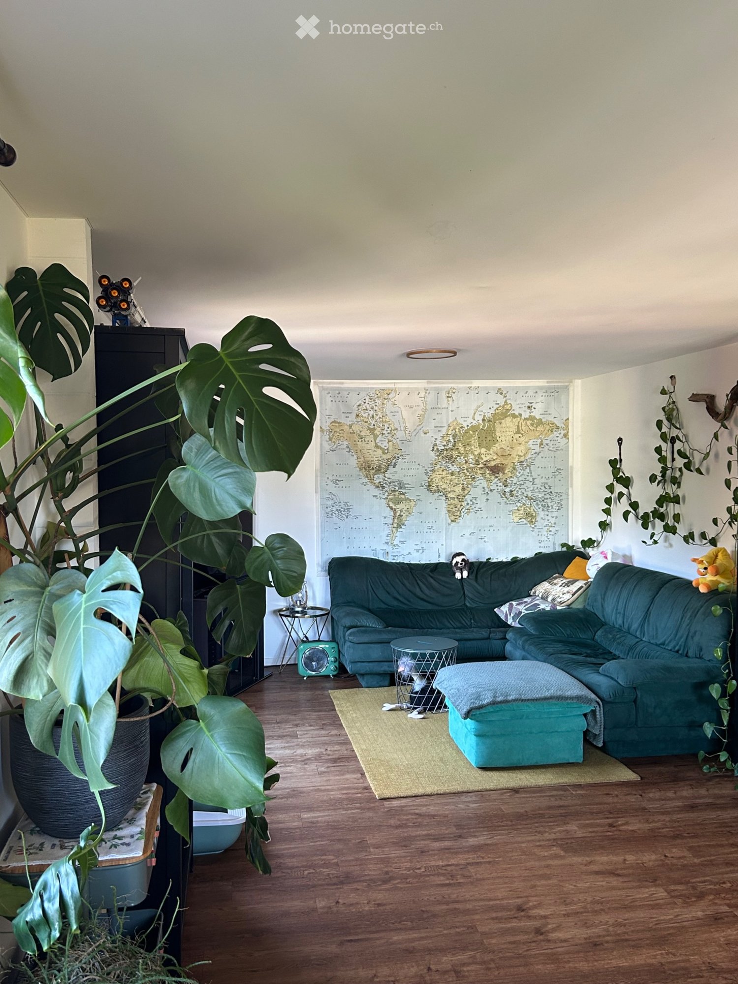 1 room single room