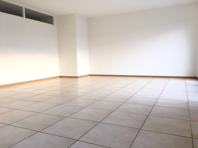 3 ½ Zimmer Wohnung
