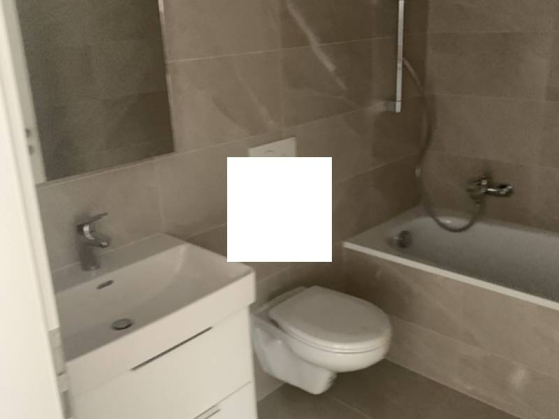 2 ½ Zimmer Wohnung