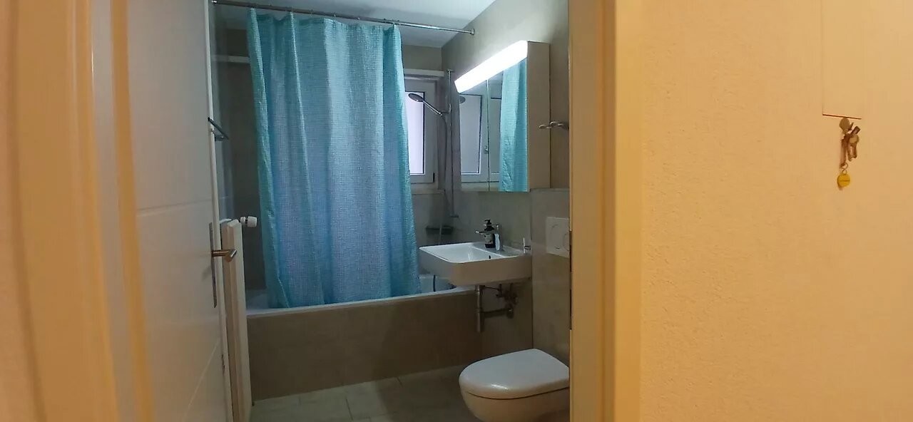 Room in a shared flat