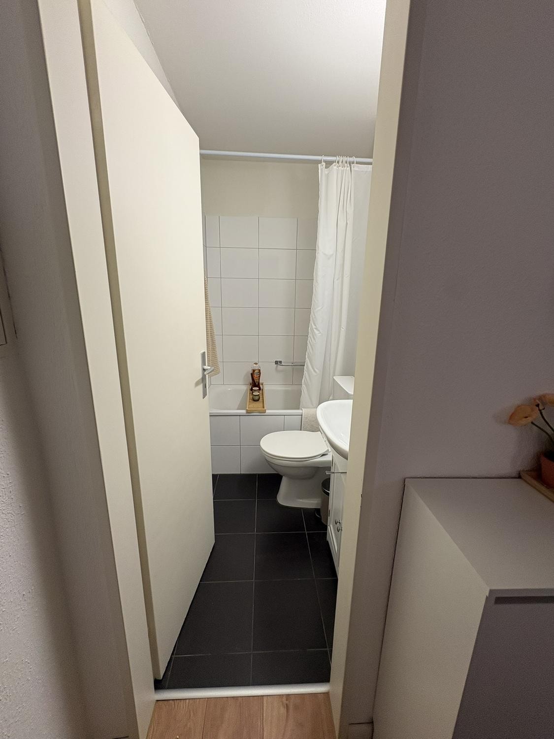 1 ½ room apartment