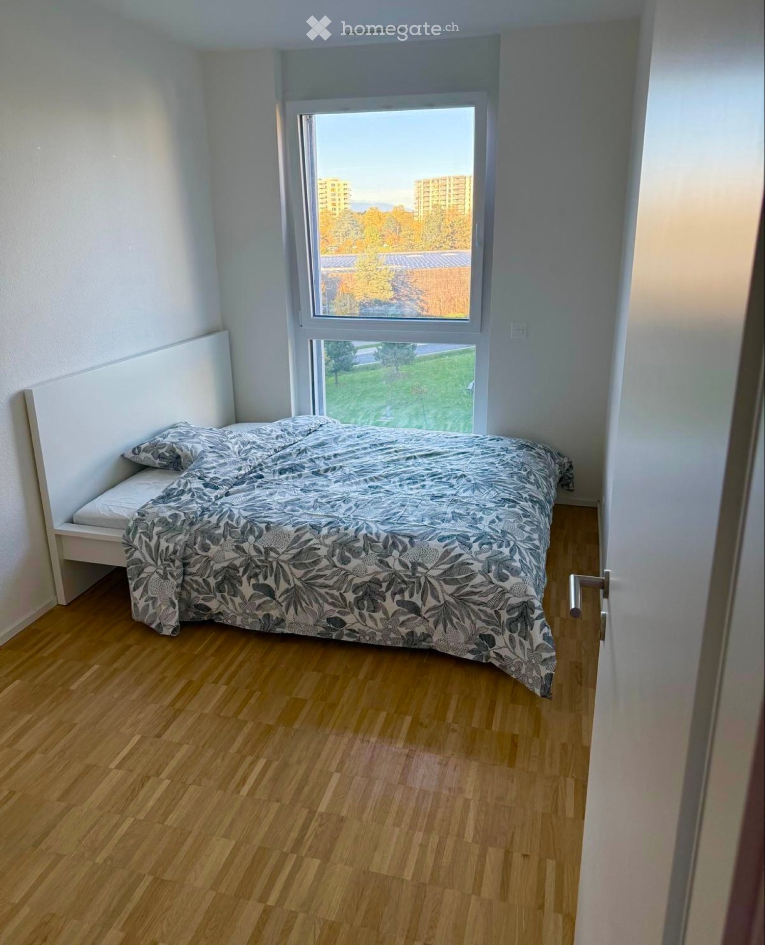 1 room single room