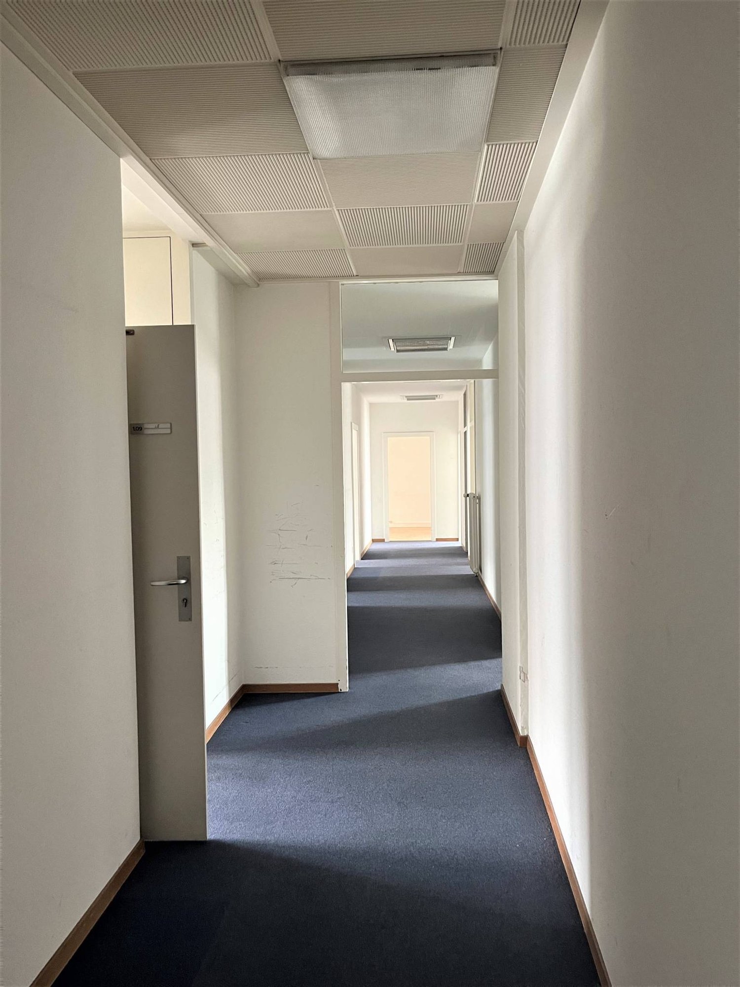 305m² Büro, Foto 3 von 7