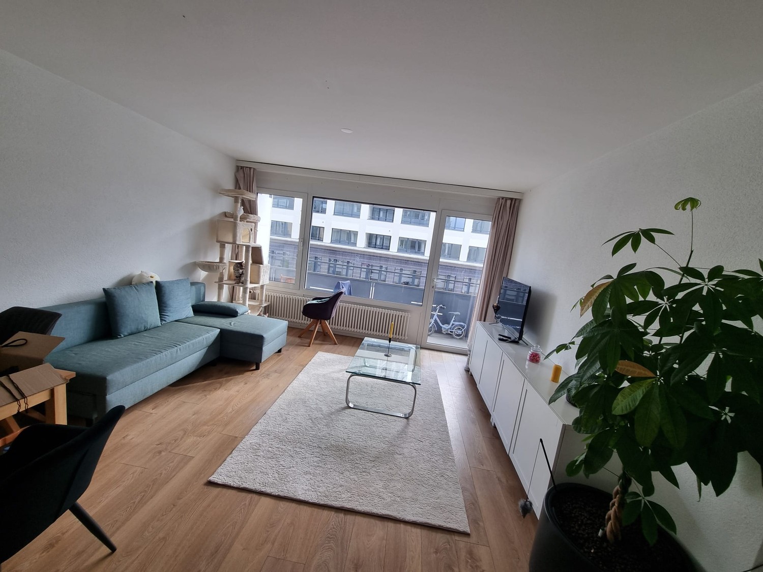Room in a shared flat