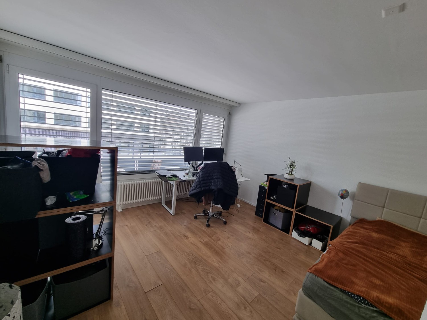 Room in a shared flat