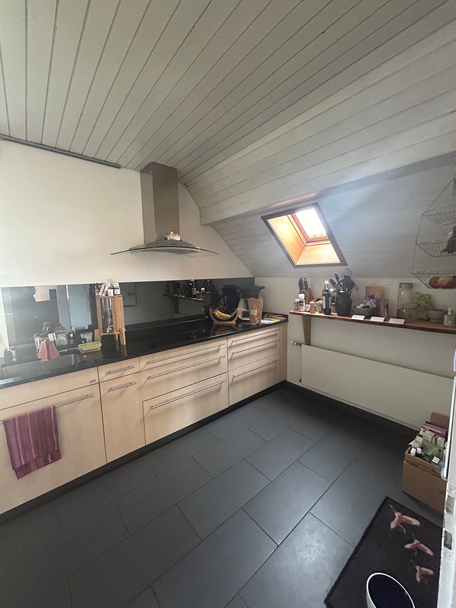 4 ½ room duplex