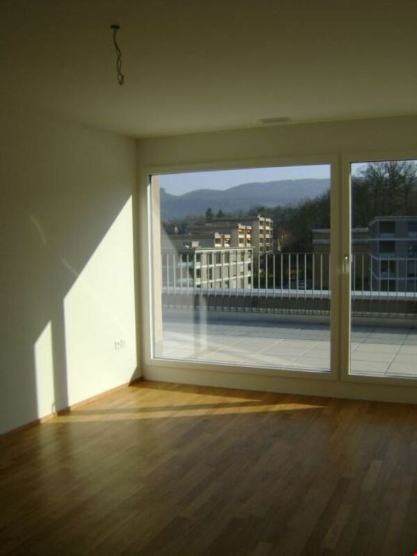 3 ½ rooms attic flat