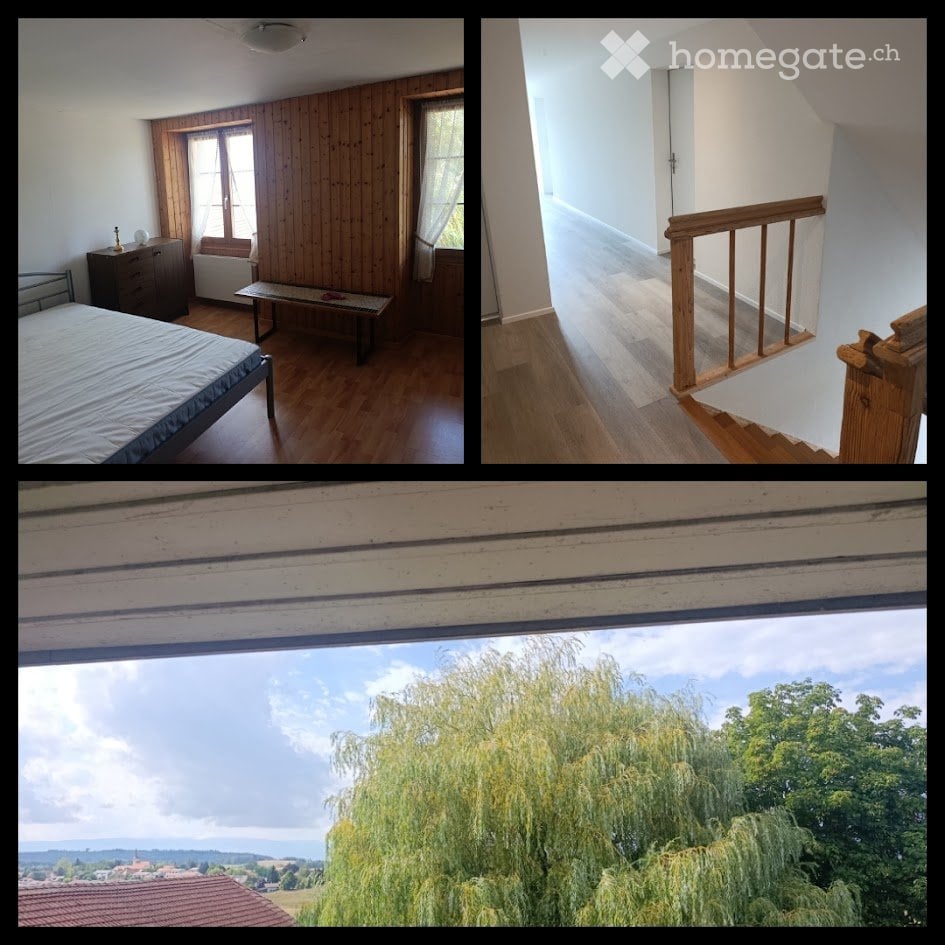 1 Zimmer Einzelzimmer